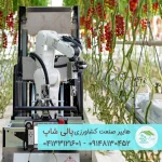 گلخانه وارداتی شرکت CERTHON هلند-سازه گلخانه هلندی با کیفیت بالا برای کشت تجاری - تصویر 4