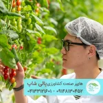 گلخانه وارداتی شرکت CERTHON هلند-سازه گلخانه هلندی با کیفیت بالا برای کشت تجاری - تصویر 3