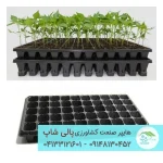 سینی نشا پلاستیکی 84 حفره مناسب کشت خیار، گوجه فرنگی و فلفل دلمه ای