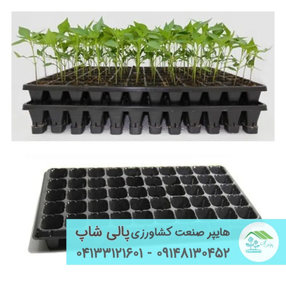 سینی نشا سینی نشا پلاستیکی 72 حفره مناسب کشت خیار، گوجه فرنگی و فلفل دلمه ای - تصویر 1